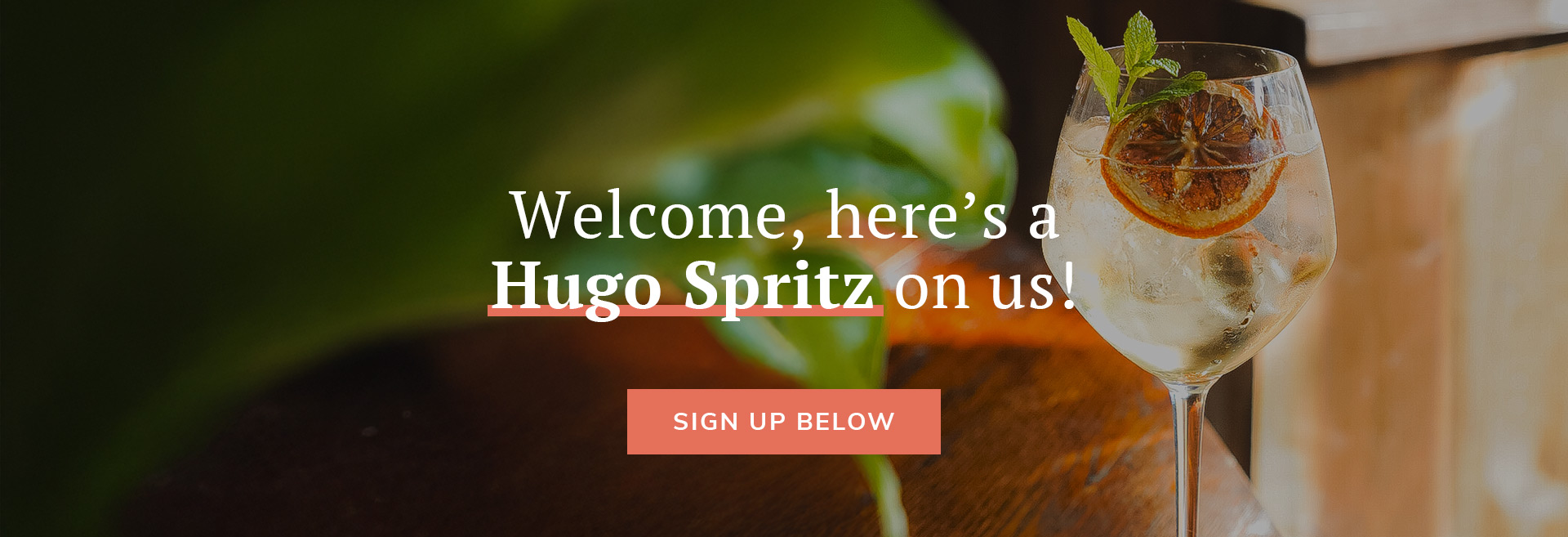 Sign up to the newsletter at The Plough